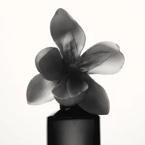 Fenty Beauty Fenty – Eau De Parfum a Prix Discount 12
