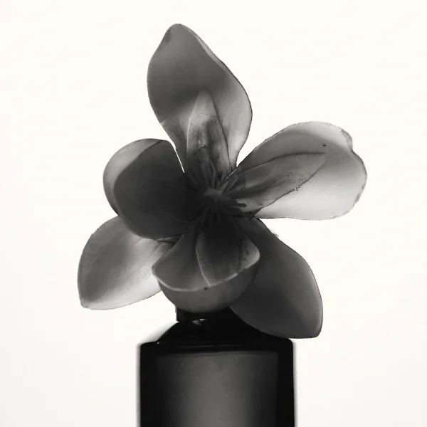 Fenty Beauty Fenty – Eau De Parfum a Prix Discount 4