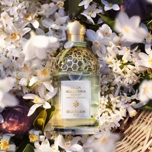 Guerlain Aqua Allegoria Harvest – Nerolia Vetiver – Eau De Toilette l'unique style 12