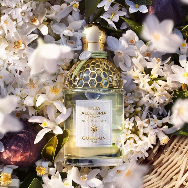 Guerlain Aqua Allegoria Harvest – Nerolia Vetiver – Eau De Toilette l'unique style 4