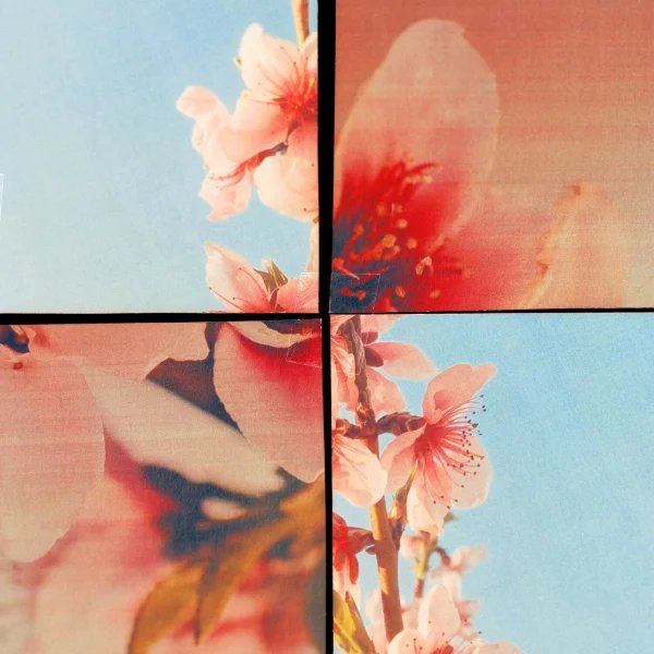 Jo Malone London Sakura Cherry Blossom – Eau De Cologne marque pas cher en ligne 6