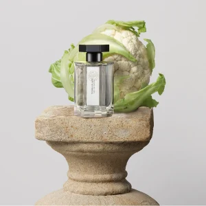 L’Artisan Parfumeur Tonka Blanc – Eau De Cologne meilleur service 12
