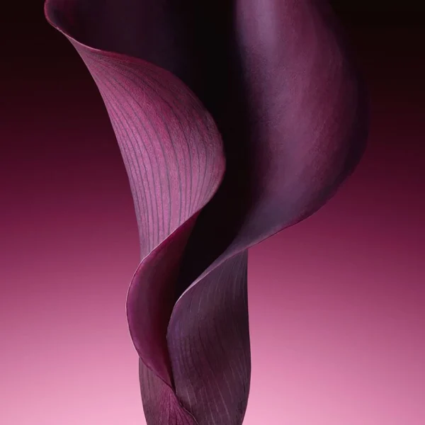 bas prix DIOR Capture Totale Crème Fermeté Et Correction Rides – Crème Anti-âge Visage Global 4
